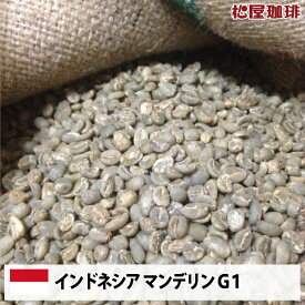 【送料無料(一部地域を除く）】コーヒー 生豆 珈琲 豆 未焙煎 10kgインドネシア マンデリンG1(Indonesia Mandheling G1)