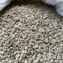 コーヒー 生豆 珈琲 豆 未焙煎 1kg　ブラジル ショコラ エスペランサ ナチュラル/パルプドナチュラル（Brazil Chocola Esperanza N/PN）