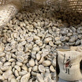 コーヒー 生豆 珈琲 豆 未焙煎 1kg　ケニア マサイ AA（Kenya Masai AA）