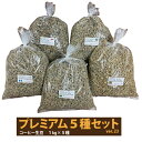 【送料無料(一部地域を除く）】コーヒー 生豆 珈琲 豆 未焙煎 5kg プレミアム5種セットver.23（1kg×5種） ブラジル コロンビア グアテマラ エチオピア ルワンダ