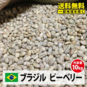【送料無料(一部地域を除く)】コーヒー 生豆 珈琲 豆 未焙煎 10kgブラジル サントス ピーベリー(Brazil Santos PeaBerry)