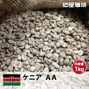 コーヒー 生豆 珈琲 豆 未焙煎 1kg ケニア AA (Kenya AA)