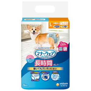 jE`[ }i[EFA ԃIc L 26