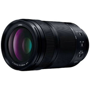 �p�i�\�j�b�N S-R70300 LUMIX S 70-300mm F4.5-5.6 MACRO O.I.S. L�}�E���g�V�X�e�� SR70300