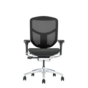 Ergohuman Enjoy2 �G���S�q���[�}�� �G���W���C2 EJ2-LAM-BF-BK �u���b�N�t���[��×�u���b�N���b�V�� ���[�o�b�N