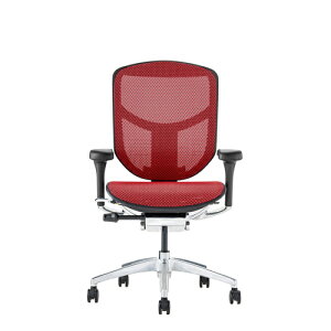 Ergohuman Enjoy2 �G���S�q���[�}�� �G���W���C2 EJ2-LAM-BF-RD �u���b�N�t���[��×���b�h���b�V�� ���[�o�b�N