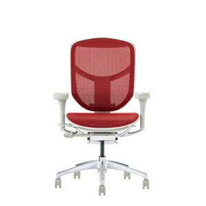 Ergohuman Enjoy2 �G���S�q���[�}�� �G���W���C2 EJ2-LAM-GF-RD �O���[�t���[��×���b�h���b�V�� ���[�o�b�N