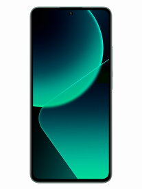 Xiaomi Xiaomi 13T Pro Meadow Green MZB0EJTJP