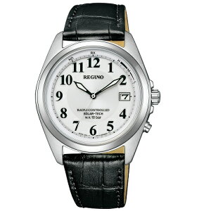 �V�`�Y�� KS3-115-20 REGUNO �X�^���_�[�h 10�C���h�� �\�[���[�d�g���f��