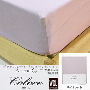 ˉƋ {bNXV[c R[jbg VI WDL [Ch_uO] jbgV[c oCIbg