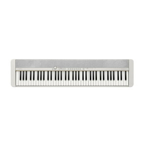 JVIvZ@ CT-S1-76WE L[{[h Casiotone 76 zCg