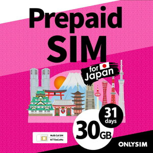 xltBbgWp BJYASIM30GB31 vyChf[^SIM 30GB 31