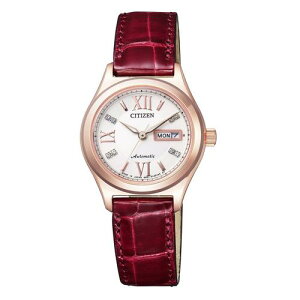 �V�`�Y�� PD7162-04A CITIZEN�R���N�V���� �V�`�Y���R���N�V���� ���f�B�[�X ������(�芪�t) 10�C���h�� ���U�[�o���h