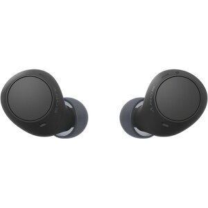 yiz\j[ CX Cz E IPX4 ő22 USB-C WF-C510 WFC510 BZ ubNn