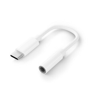 PGA PG-35CCN12WH 3.5mm to USB-C CzϊA_v^ P[u5cm zCg