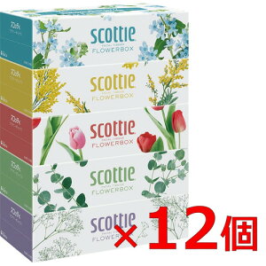 yGg[T |Cgi 11/27 1F59܂ŁzNVA yP[X̔z XRbeBeBV[ t[{bNX 250g 5x12pbN