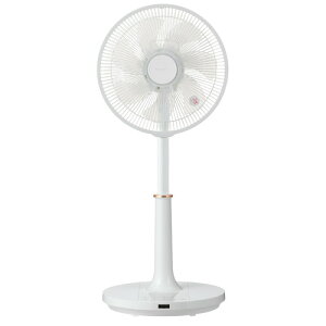 yiz TF-30DL28(W) DCR@ _[h 7iؑ zCg
