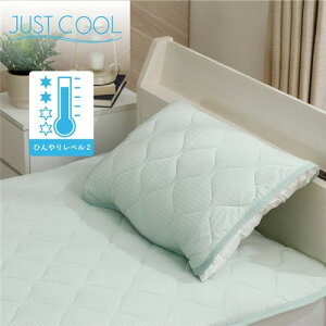 y݌ɌzJUSTN[pbh 60x50cm O[ ⊴ ĕQ Ђ