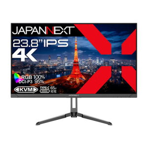 y}\ԍő10{Vbv|CgD10/27 9:59܂ŁzJAPANNEXT IPSpl tj^[ HDR sRGBF100 (2Nۏ) JN-IPS2380UHDR-C65W