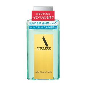 iSHISEIDOj AEX[[ At^[VF[u[VNA (110mL) y򕔊Oiz