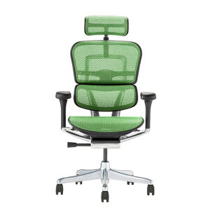 �։Ƌ� Ergohuman �G���S�q���[�}�� �V��Ճ^�C�v PRO2 High EHP2-HAM-DR-BF-GN �u���b�N�t���[��×�O���[�� 445410