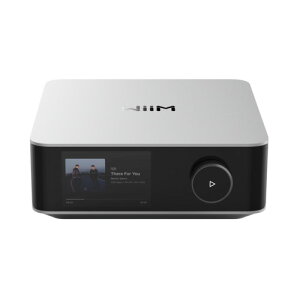 WiiM WIM-WAMPULTRA-SV �X�g���[�~���O�A���v �n�C���]�Ή� �V���o�[
