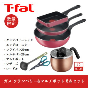 �y���Ԍ��������z�e�B�t�@�[��(T-FAL) �K�X �N�����x���[&�}���`�|�b�g�Z�b�g 6�_�Z�b�g �t���C�p��20cm �}���`�p��26cm 15455 �y�K�X�ΐ�p�z