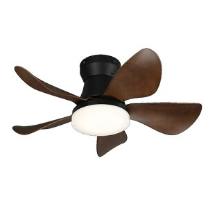 HotaluX XZF-06433KRCSG LED�V�[�����O�t�@�� HotaluX WING 6���p ���F�`�d���F