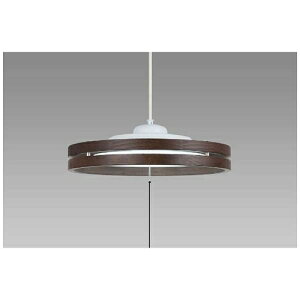 �z�^���N�X HCDB0854 LED�y���_���g���C�g(�`8��) �����F