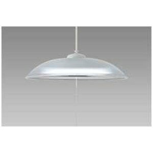 �z�^���N�X HCDB0853-X LED�y���_���g���C�g�i�`8��j �����F �X���[�N