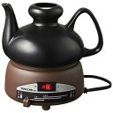 【ポイント最大5倍超ポイントアップ祭・要エントリー7/15まで】熱燗機 テスコム SK31 酒燗器 酒器 熱燗