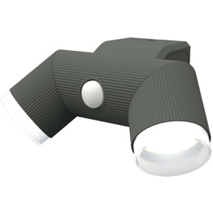 TV SCY60 LEDZT[Cg RITEX