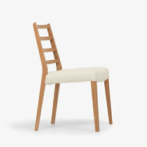 ˉƋ _CjO`FAuVl} A^CvvbhI[NރzCgI[NF PVCyARΉz