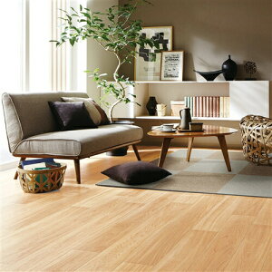 yGg[T |Cgi 11/27 1F59܂Łz^CJ[ybg 50X50  h x[W ^C TG1707HC05(o) y50×50 1z