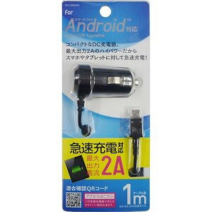 IY} IDC-20SP01K X}[gtHpDC[d1m 2A