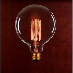 ���p�d�� 110V40W G125 F2 E26 ���B���e�[�W�����v �d���F
