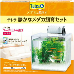 yGg[œT|Cg+9{! X}CLy[zXyNg uY Wp #73117 eg Âȃ_JZbgSF]17KF