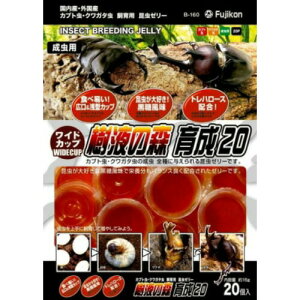 tWR ChJbv t̐X 琬20 20