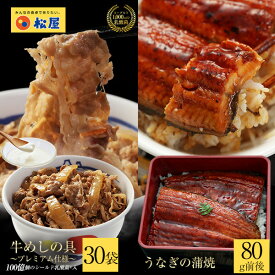 鰻・牛めしコンボセット30個（プレミアム仕様牛めしの具×30　乳酸菌入り　うなぎ 鰻 うなぎカット80g 1枚) ウナギ 鰻のかば焼き 鰻の蒲焼 蒲焼 かば焼き うなぎの蒲焼 土用 土用の丑の日 丑の日 2021 土用の丑) 肉 牛丼 業務用 惣菜 仕送り 子ども 時短ごはん ランキング