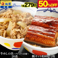 S【ラスト5時間限定50％OFF！6,120円！】 うなぎ 松屋のうな丼 松屋 公式 鰻・牛めしコンボセット22個(プ…
