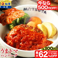 S【1食300円~！クーポン利用で最大62％OFF！条件達成で全品P最大10倍！】SNSで話題！お家でボルケーノう…