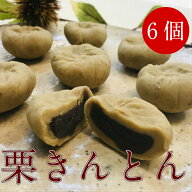 秋 秋の味覚 栗きんとん 4/6/8/10/15/20個入り 【送料無料 スイーツ 秋 和菓子　高級 お取り寄せ お歳暮 …