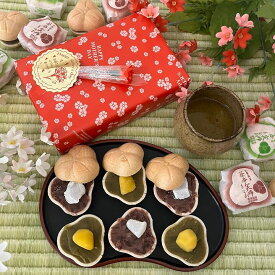 ＼高評価★4.7 バレンタイン／ お歳暮 誕生日 最中 6個/10個 ギフト プレゼント 【贈り物 送料無料 和菓子 高級 お取り寄せ スイーツ 詰め合わせ お菓子 銘菓 お礼 結婚記念日 いい夫婦の日 お供え もなか モナカ 絶品 あんこ 栗 贈答品 三重県 土産 人気 両親 妻 高齢者 】