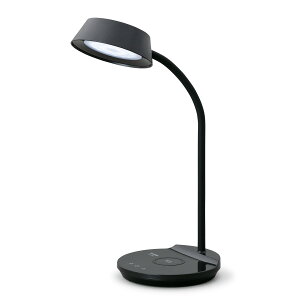 LED fXNCg LDL-QFDL-B (ubN) 1 ACXI[} CX[d@\ USBdt