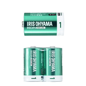 BIGCAPA basic plus AJdr P1` 2{pbN LR20Bbp/2S 574348 1 ACXI[}