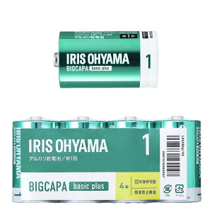BIGCAPA basic plus AJdr P1` 4{pbN LR20Bbp/4S 574349 1 ACXI[}