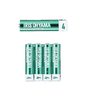 BIGCAPA basic plus AJdr P4` 4{pbN LR03Bbp/4S 574357 1 ACXI[}