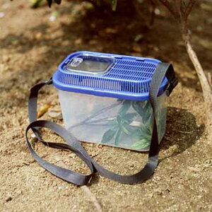 虫とりこぞう ブルー SD-200 1個 アイリスオーヤマ 飼育ケース ショルダータイプ スライド式