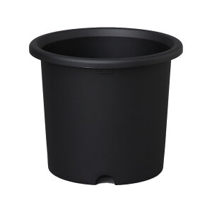 e 10(O[) 1 ACXI[} e }c グ