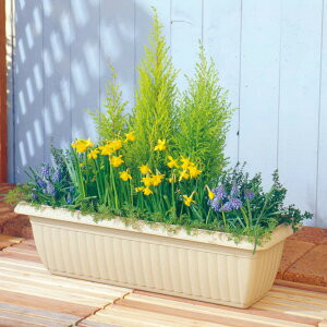 [tv^[ EH[x[W 370(37cm) 1 ACXI[} eRb^ v^[